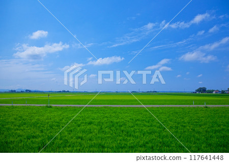 從一海里之外的莊內町馬瓦里卡特(Amarume Station)附近眺望莊內地區的田園風光 從一海里之外的莊內町馬瓦里卡特(Amarume Station)附近眺望莊內地區的田園風光 117641448