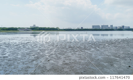 [千葉縣習志野市] 八津灘塗 117641470