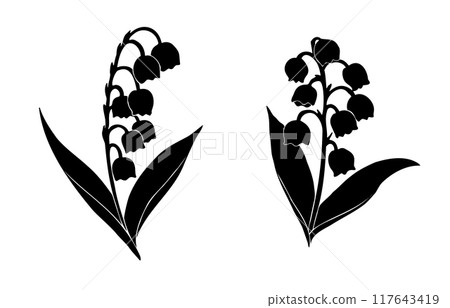 Lily of the valley silhouette illustration 117643419