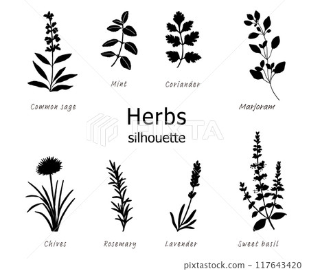 Herb silhouette illustration set Herb silhouette illustration set 117643420