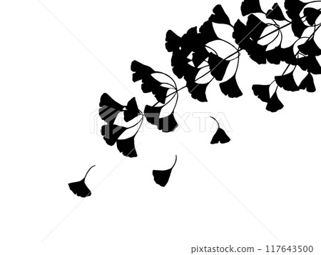 Ginkgo leaf silhouette Ginkgo leaf silhouette 117643500