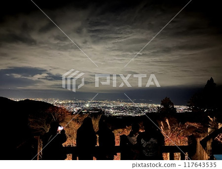 從大山阿夫利神社眺望的景色 117643535