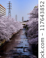 Scenery with cherry blossoms 117643852