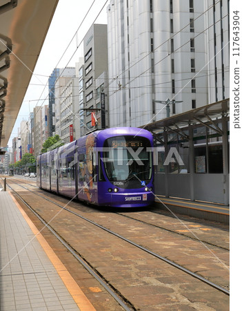 Sanfrecce decorated train 117643904