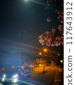 Moonlit car and cherry blossoms 117643912