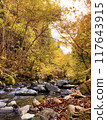 Autumn leaves forest and river 117643915