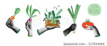 Organic farm product and human hands in retro collage vector illustration set Organic farm product and human hands in retro collage vector illustration set 117644068