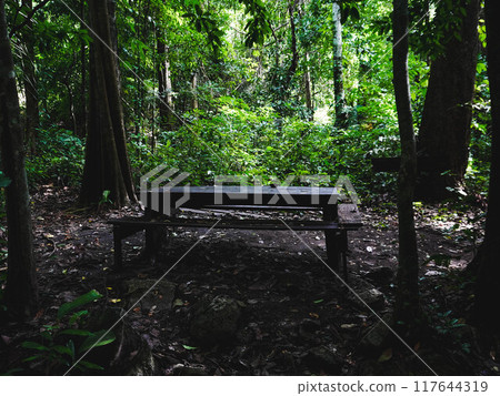 Tham Tarn Lod Noi Cave surrounded by lush green forest, nature trail at Chalerm Rattanakosin National Park, Kanchanaburi, Thailand. 117644319