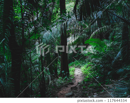 Tham Tarn Lod Noi Cave surrounded by lush green forest, nature trail at Chalerm Rattanakosin National Park, Kanchanaburi, Thailand. Tham Tarn Lod Noi Cave surrounded by lush green forest, nature trail at Chalerm Rattanakosin National Park, Kanchanaburi, Thailand. 117644334