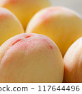 Peaches  117644496