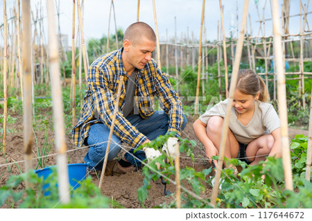 Father and daughter working in garden 117644672