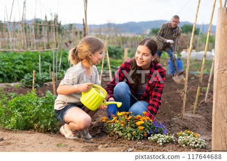 Friendly family working together on backyard garden Friendly family working together on backyard garden 117644688