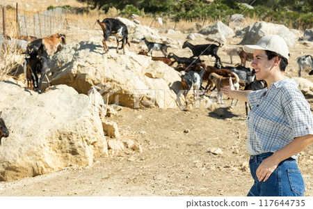 Female farmer watching flock of goats grazing in mountainous area 117644735
