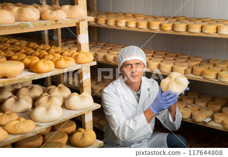 Man in white uniform examining quality of cheese in ripening room 117644808