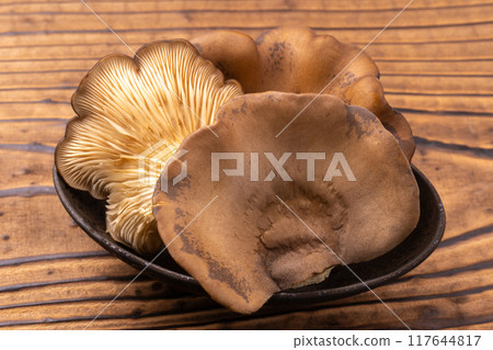 Black Abalone Mushroom Black Abalone Mushroom 117644817