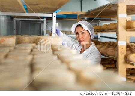 Skilled woman controlling maturing process of cheese wheels 117644858