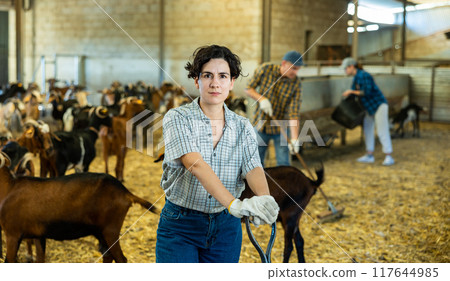Skilled busy Latin female farmer working with hay and straw, taking care of goats on farm Skilled busy Latin female farmer working with hay and straw, taking care of goats on farm 117644985