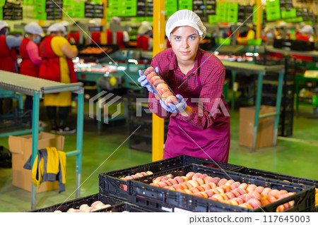 Portrait of positive woman with peaches in her hands next to fruit sorting line 117645003