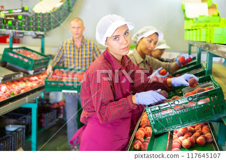 Women in uniform sorting peaches 117645107