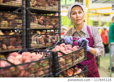 Woman standing beside boxes 117645128