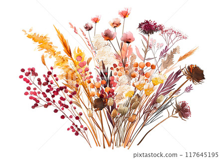 Beautiful bouquet of dried flowers 117645195