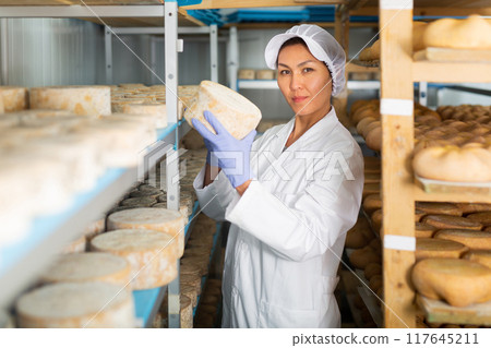 Woman cheesemaker checking aging process of cheese in maturing chamber 117645211