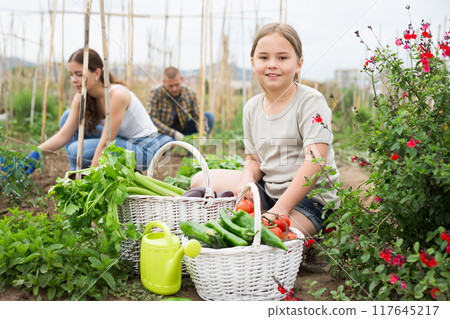 Little girl posing in garden with harvest 117645217