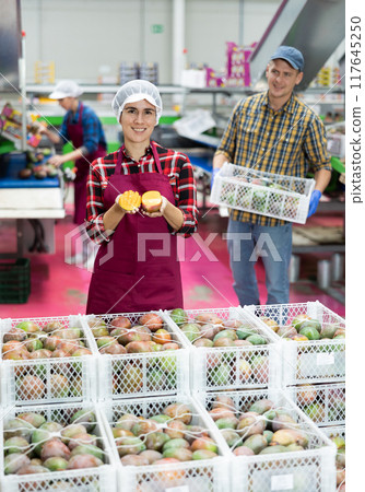 Cheerful Hispanic workwoman showing sliced ripe mango Cheerful Hispanic workwoman showing sliced ripe mango 117645250