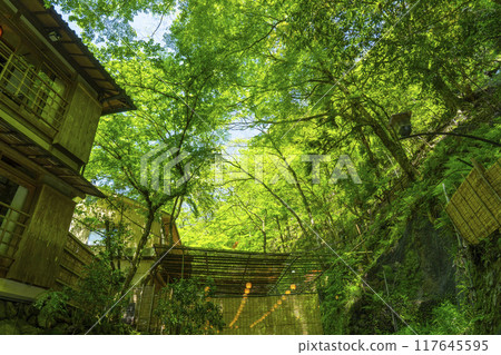 京都貴船河床鮮綠季節 117645595