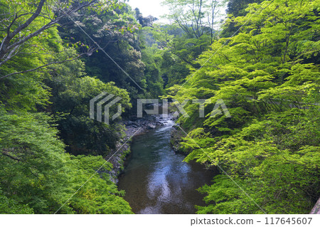 從高尾橋看到的清瀧 117645607