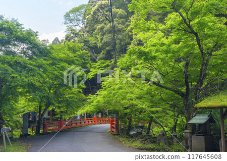 Kyoto, Jingoji Temple Approach, Takao Bridge and Fresh Greenery 117645608