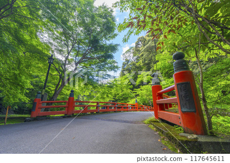 京都、神護寺參道、高雄橋和新鮮綠化 117645611