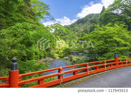 京都、神護寺參道、高雄橋和新鮮綠化 京都、神護寺參道、高雄橋和新鮮綠化 117645613