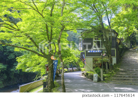 Kyoto, Jingoji Temple Approach, Takao Tourist Hotel and Fresh Greenery Kyoto, Jingoji Temple Approach, Takao Tourist Hotel and Fresh Greenery 117645614