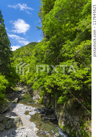 從清瀧橋看到的清瀧川（Kinunkei） 117645625