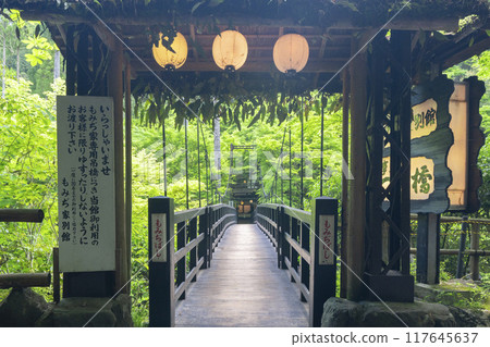 京都，神護寺腳下，楓樹叢與新綠 117645637