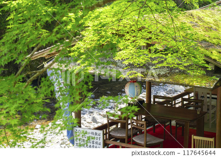 Kyoto's inner sanctum: Riverside dining in Takao 117645644