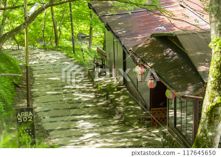 京都、神護寺道路、茶館和美麗的新鮮綠化 117645650