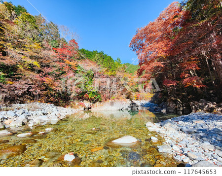 The Agana valley in autumn The Agana valley in autumn 117645653