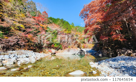 The Agana valley in autumn The Agana valley in autumn 117645654