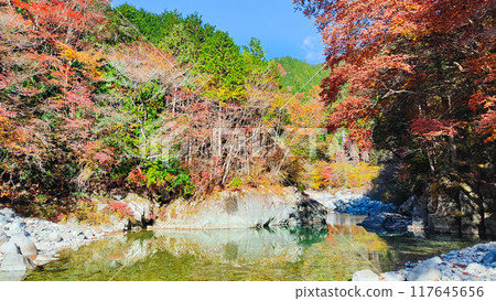 The Agana valley in autumn The Agana valley in autumn 117645656