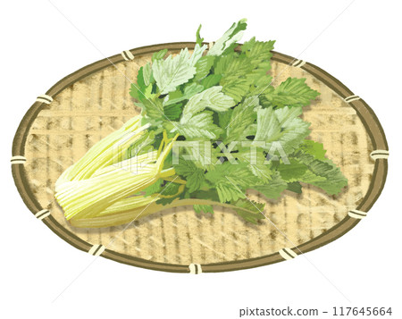 芹菜（帶漏杓） 117645664