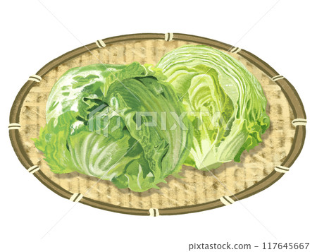 Lettuce (with colander) Lettuce (with colander) 117645667