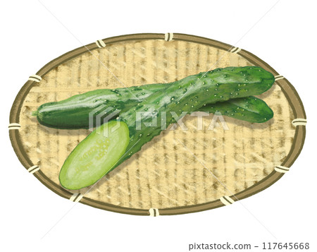 2 cucumbers (with colander) 117645668