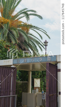 [Narashino City, Chiba Prefecture] Yatsu Rose Garden 117645748