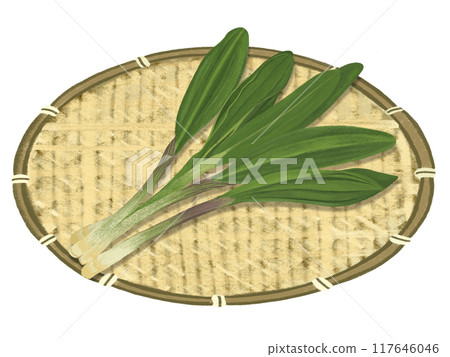 Wild garlic (with colander) Wild garlic (with colander) 117646046