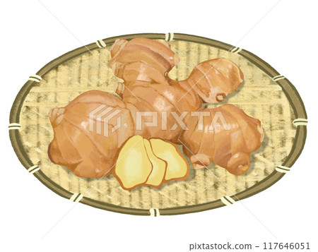 薑（附漏杓） 117646051