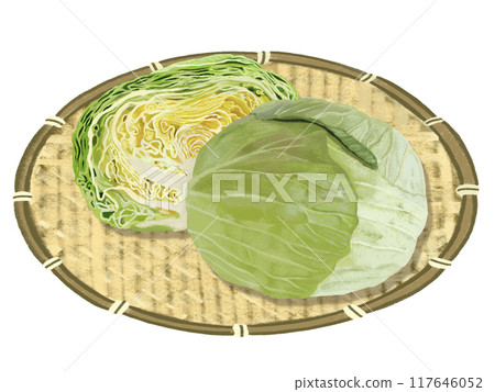 高麗菜(附漏勺) 高麗菜(附漏勺) 117646052