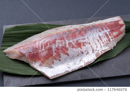 石首魚書 石首魚書 117646078