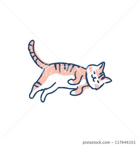 Cat lying down 117646101